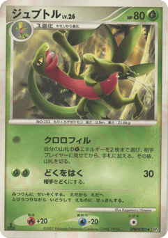 Grovyle DP4 303