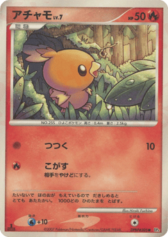 Torchic DP4 305