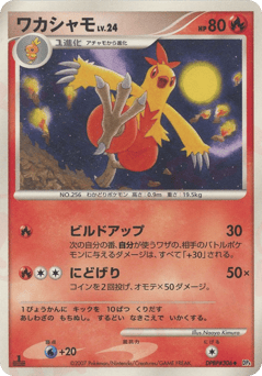 Combusken DP4 306