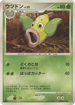 Weepinbell DP5 076