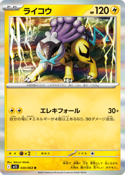 Raikou M1S 030
