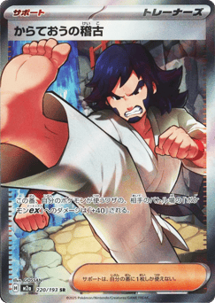 Black Belt's Training — MEGA Dream ex