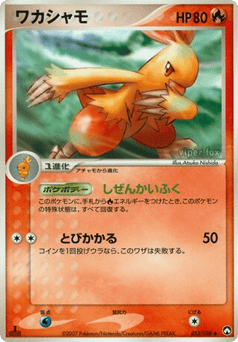 Combusken PCG10 013