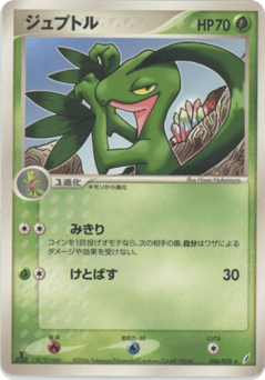 Grovyle #006 — Miracle Crystal