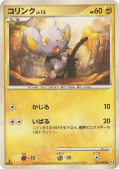 Shinx — Advent of Arceus