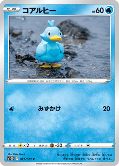 Ducklett S10D 017
