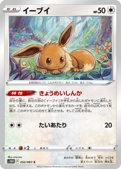 Eevee S10D 052