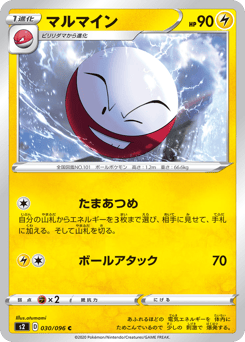 Electrode S2 030