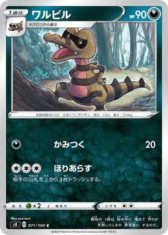 Krokorok S4 071