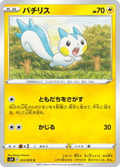 Pachirisu S5R 033