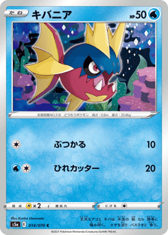 Carvanha S5A 014
