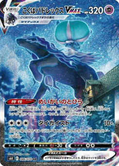 Shadow Rider Calyrex VMAX — Jet-Black Spirit