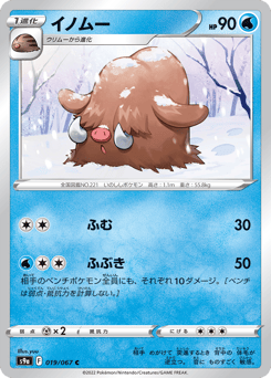 Piloswine S9A 019