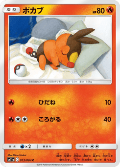 Tepig SM11A 013