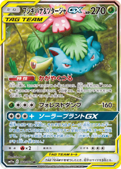 Venusaur & Snivy-GX — Remix Bout