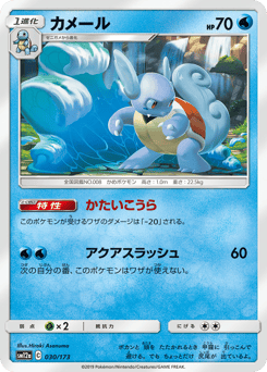 Wartortle SM12A 030