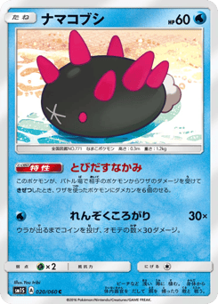 Pyukumuku — Collection Sun