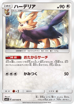 Herdier — Collection Sun