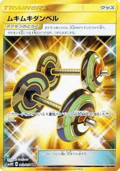 Bodybuilding Dumbbells — To Have Seen the Battle Rainbow