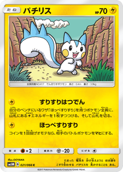 Pachirisu SM5M 021