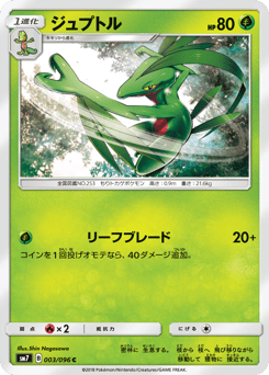 Grovyle #003 — Sky-Splitting Charisma