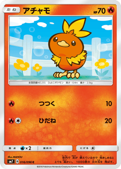 Torchic SM7 016