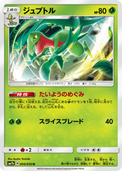 Grovyle #004 — Fairy Rise
