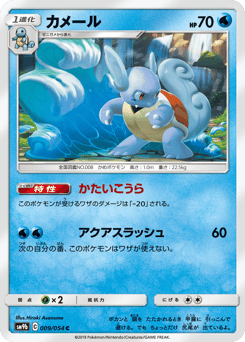 Wartortle #009 — Full Metal Wall