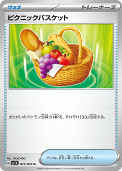 Picnic Basket — Violet ex