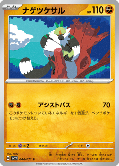 Passimian SV2D 044