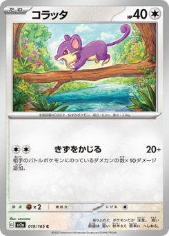 Rattata SV2A 019