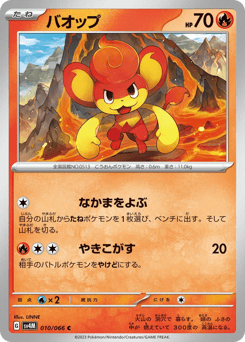 Pansear — Future Flash