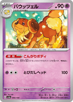 Dachsbun — Shiny Treasure ex