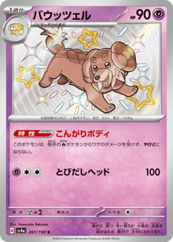 Dachsbun — Shiny Treasure ex