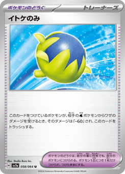 Passho Berry — Paradise Dragona