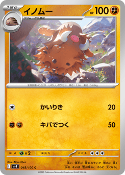 Piloswine SV9 045