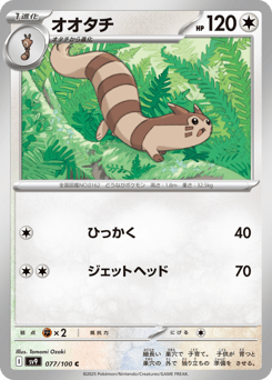 Furret — Battle Partners