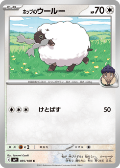 Hop's Wooloo — Battle Partners