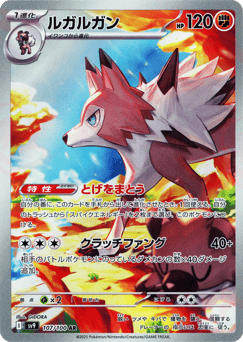 Lycanroc — Battle Partners