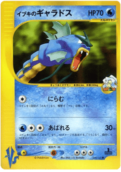 Clair's Gyarados VS1 048