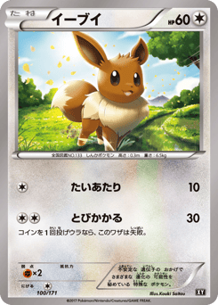 Eevee XY 100