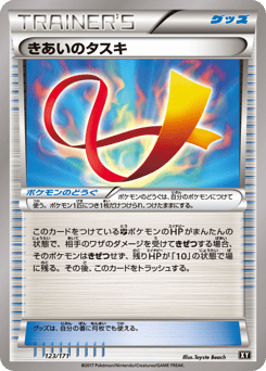 Focus Sash — The Best of XY