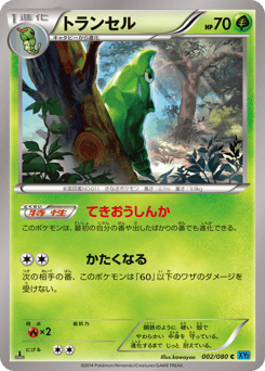 Metapod #002 — Wild Blaze