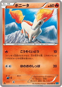 Ponyta XY2 012