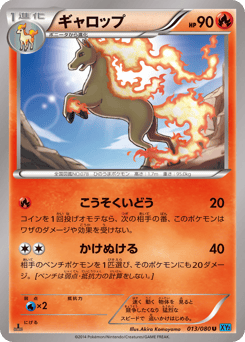 Rapidash XY2 013