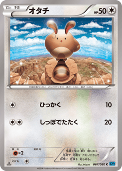 Sentret XY2 067