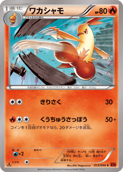 Combusken XY3 013