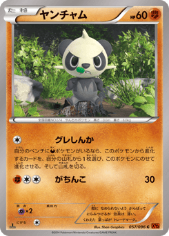 Pancham XY3 057