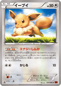 Eevee XY3 075
