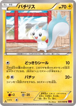 Pachirisu XY4 025